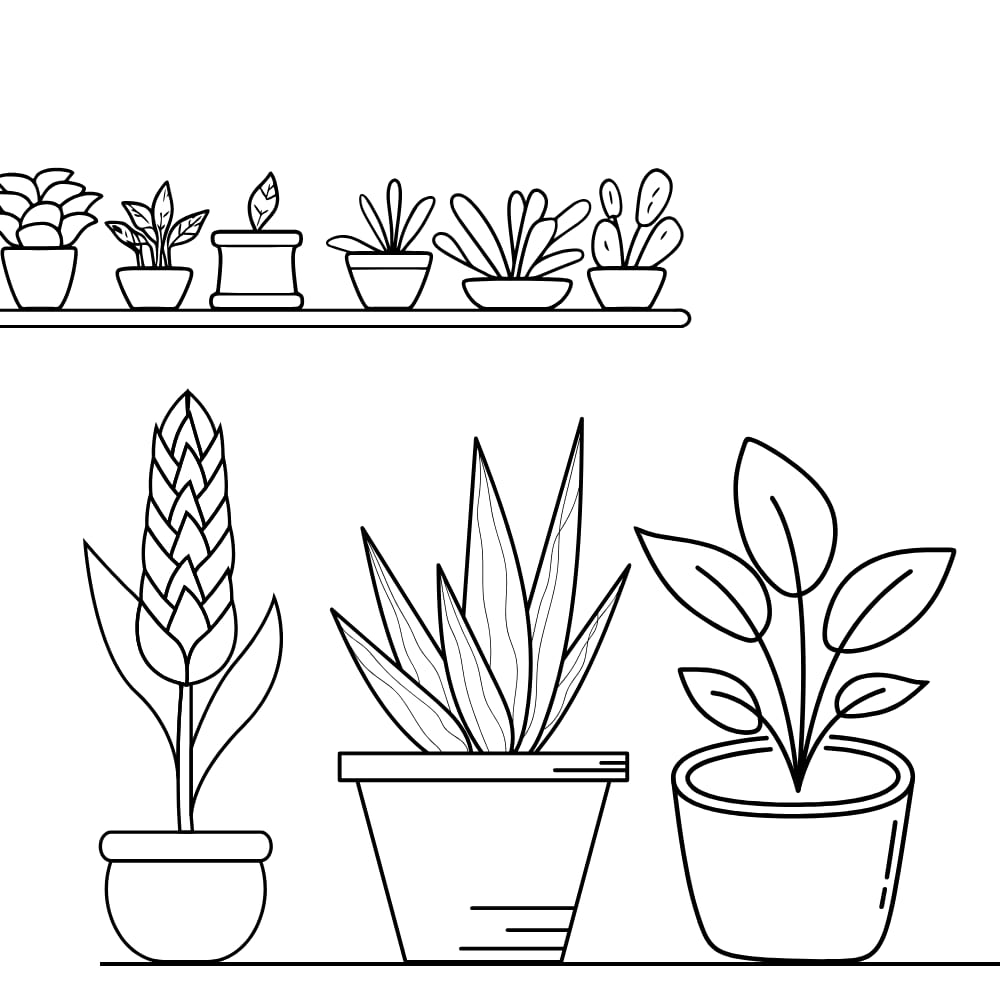 vasos de plantas