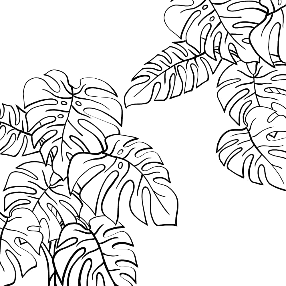 Desenhos de plantas para imprimir
