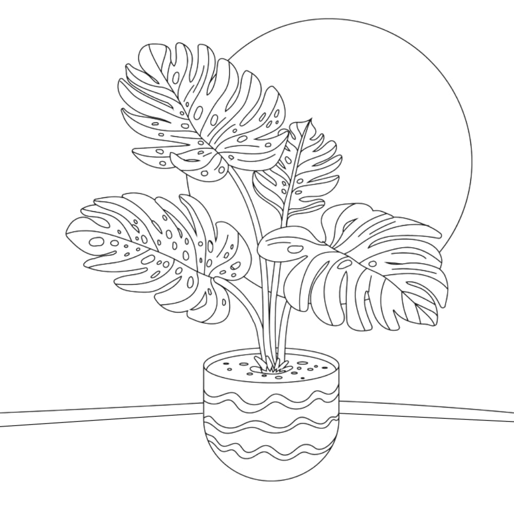 ideias de desenhos de plantas