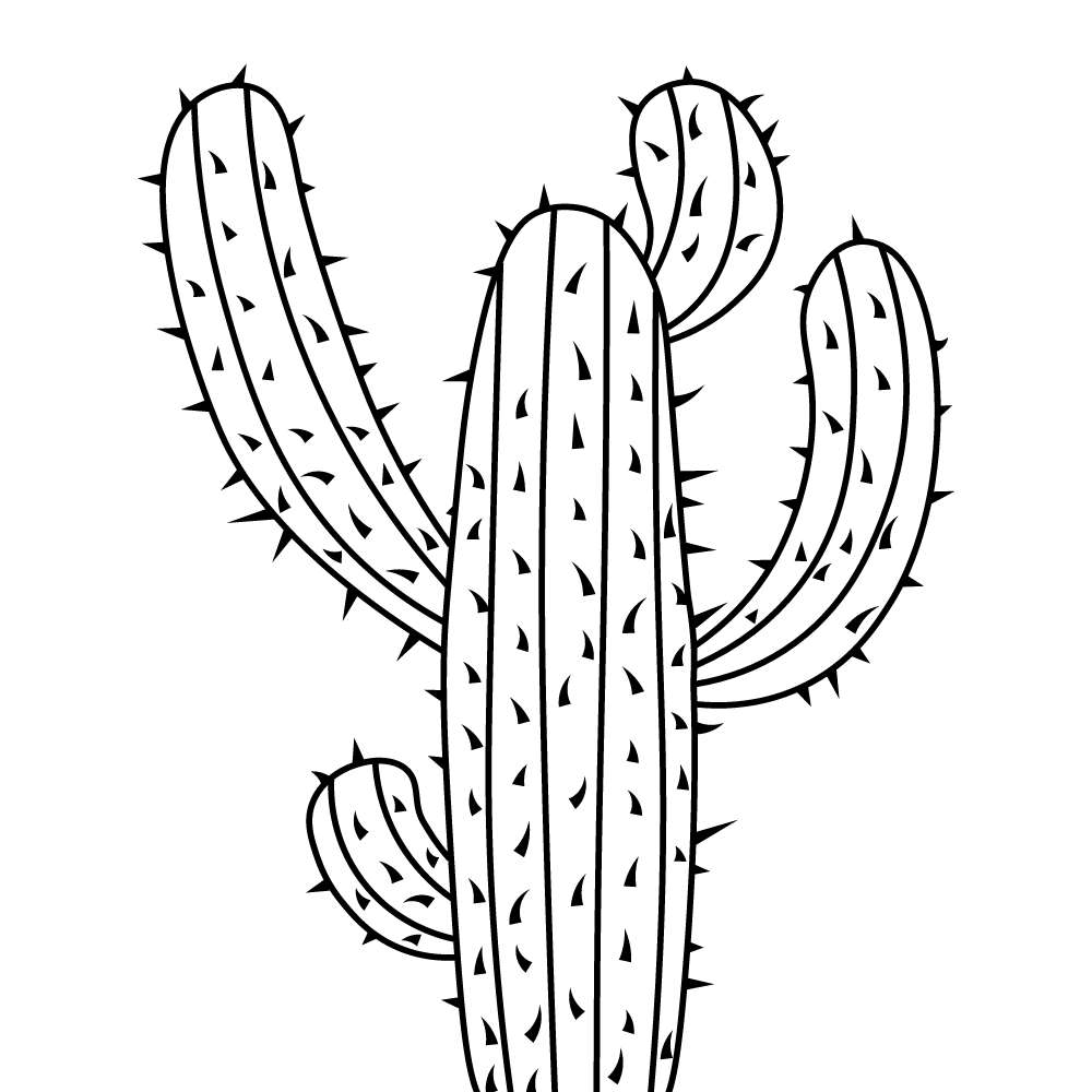 cacto para colorir