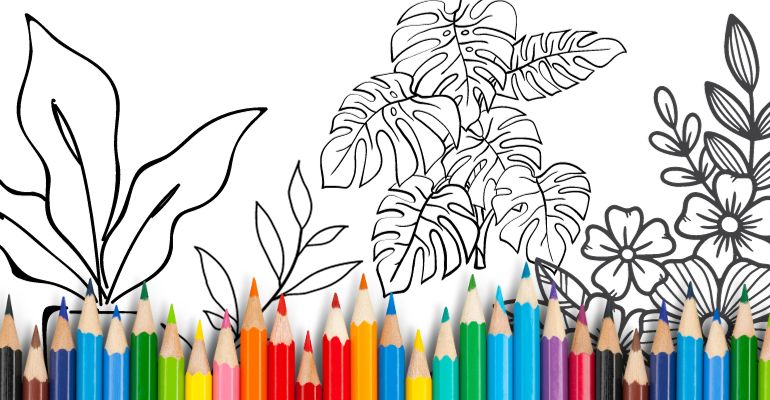 plantas para colorir