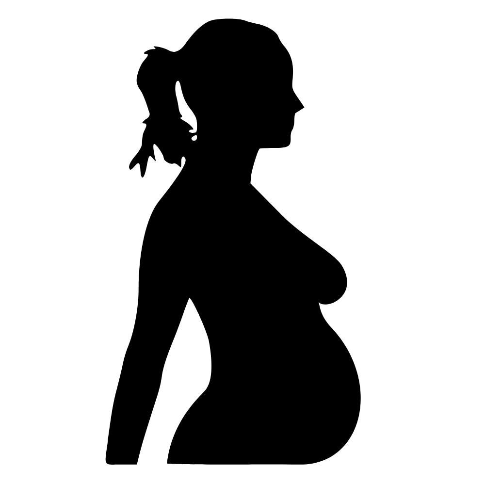 silhueta gravida