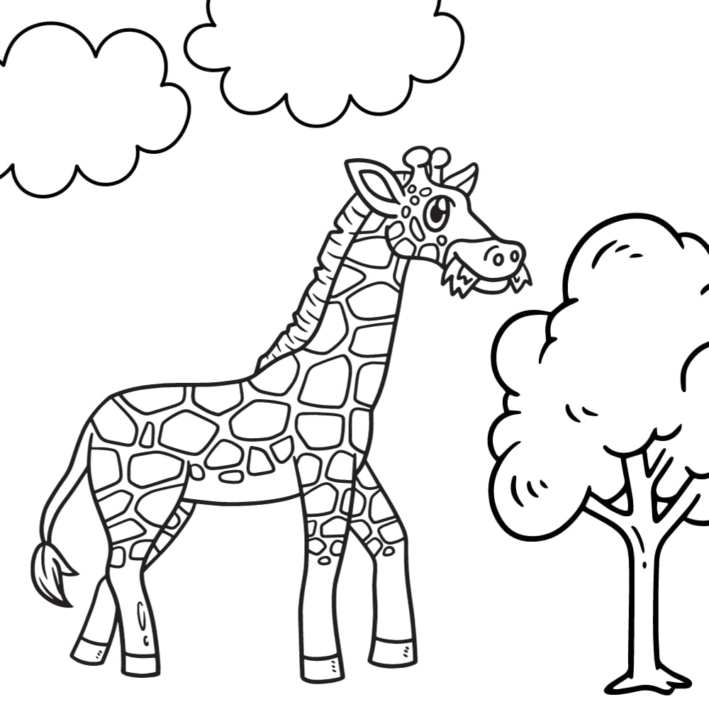 girafa para colorir