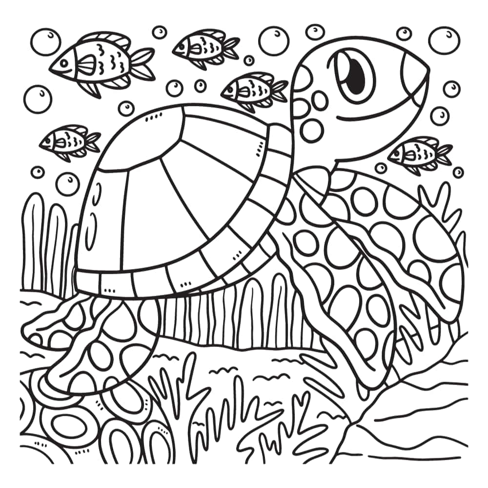 tartaruga para colorir