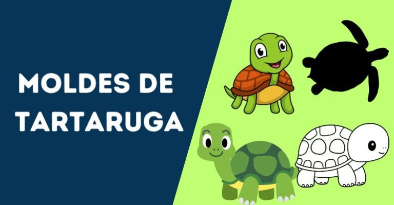 moldes de tartaruga