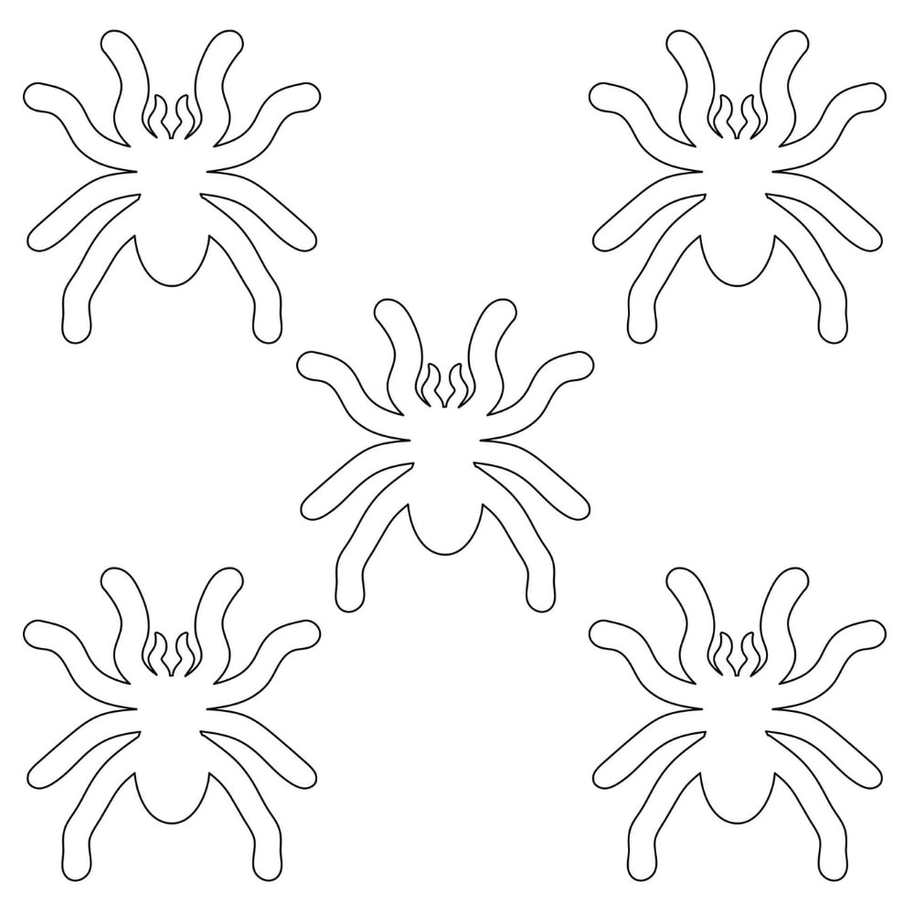 molde de aranha