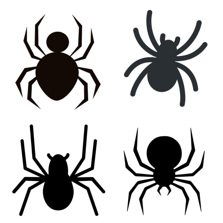 Molde aranha para imprimir tamanhos pequeno e grande - Artesanato Passo ...
