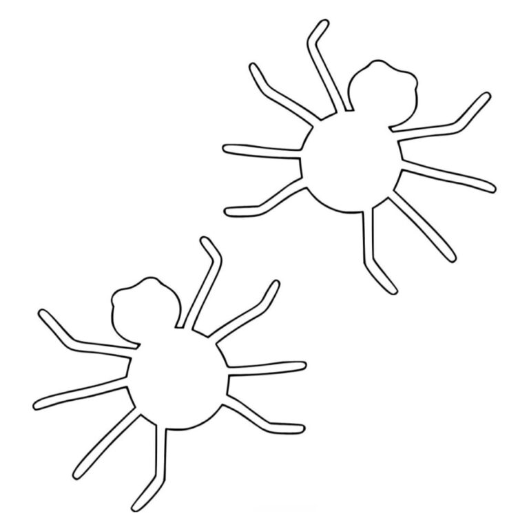 Molde aranha para imprimir tamanhos pequeno e grande - Artesanato Passo ...