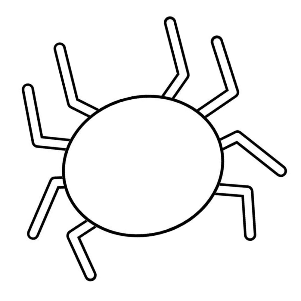 molde aranha desenho