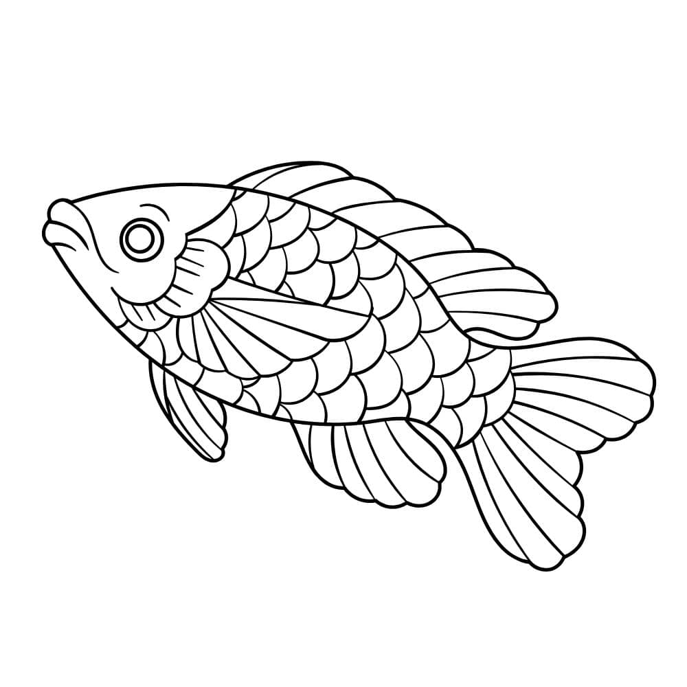 peixe