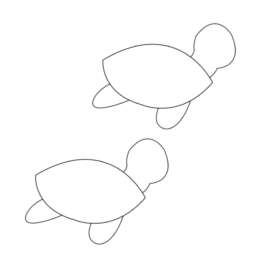 Molde de tartaruga marinha