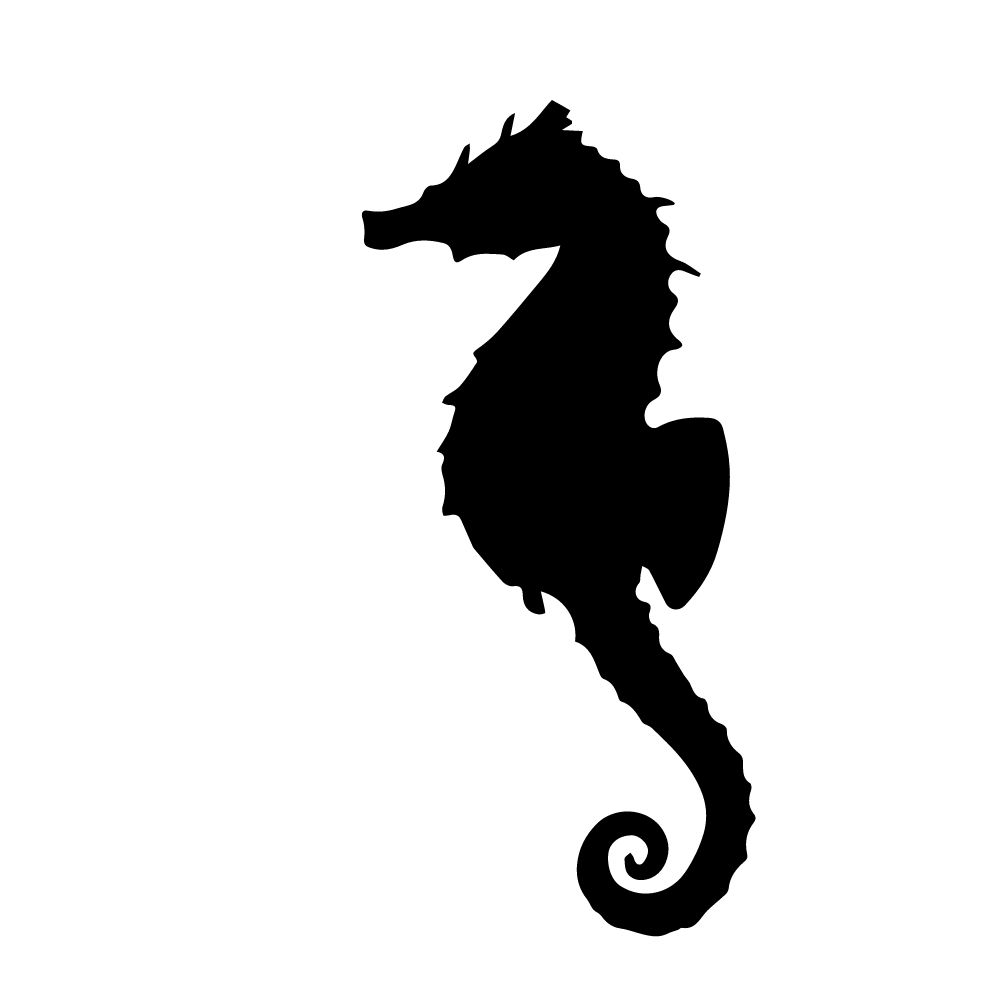 cavalo marinho molde