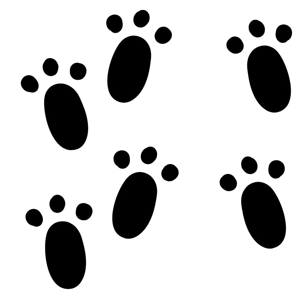 desenho de pata de coelho