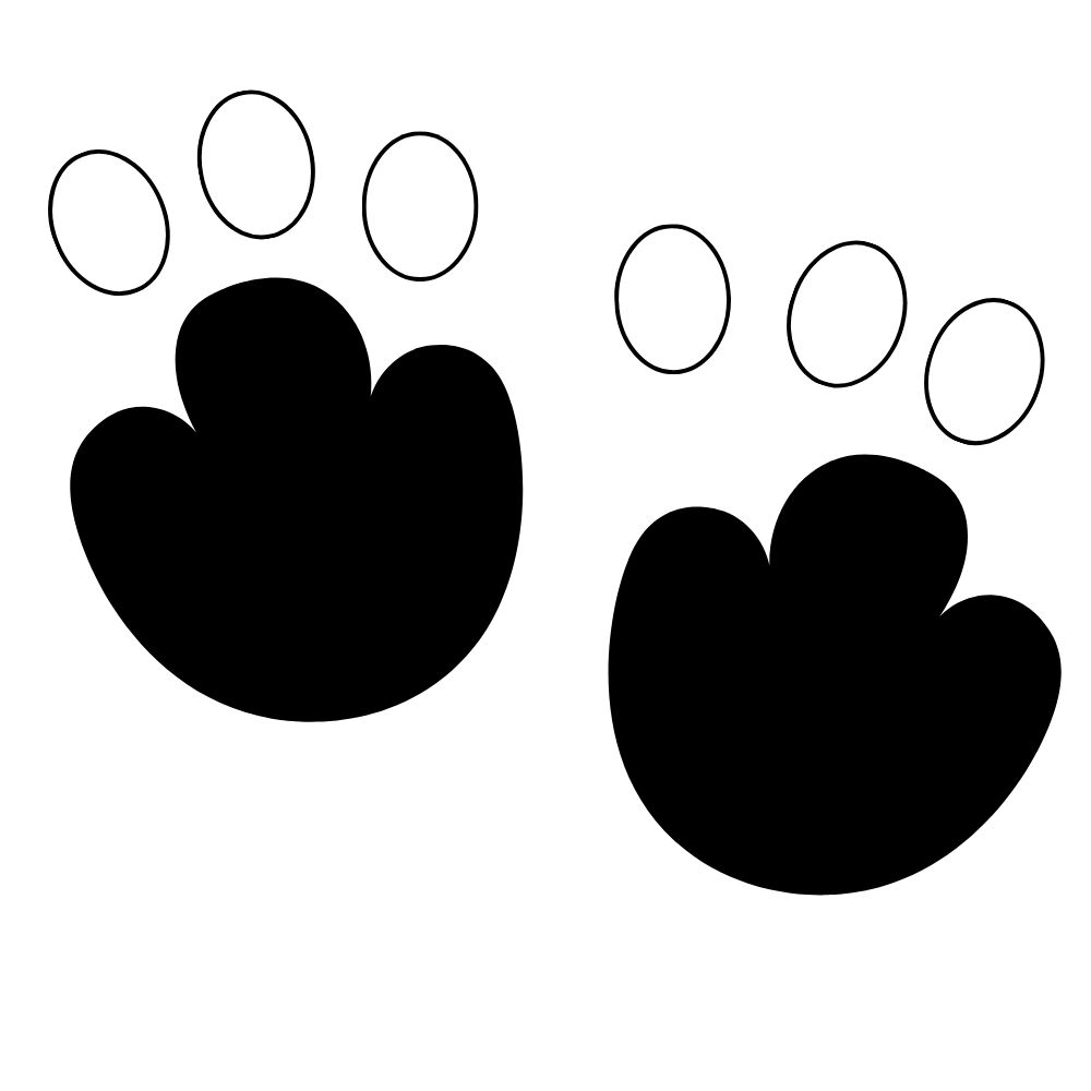 molde pata de coelho eva