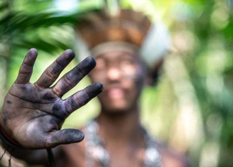 grafismo indigena