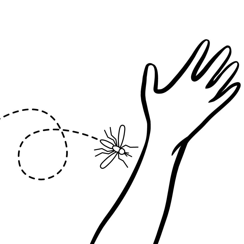 mosquito da dengue para imprimir