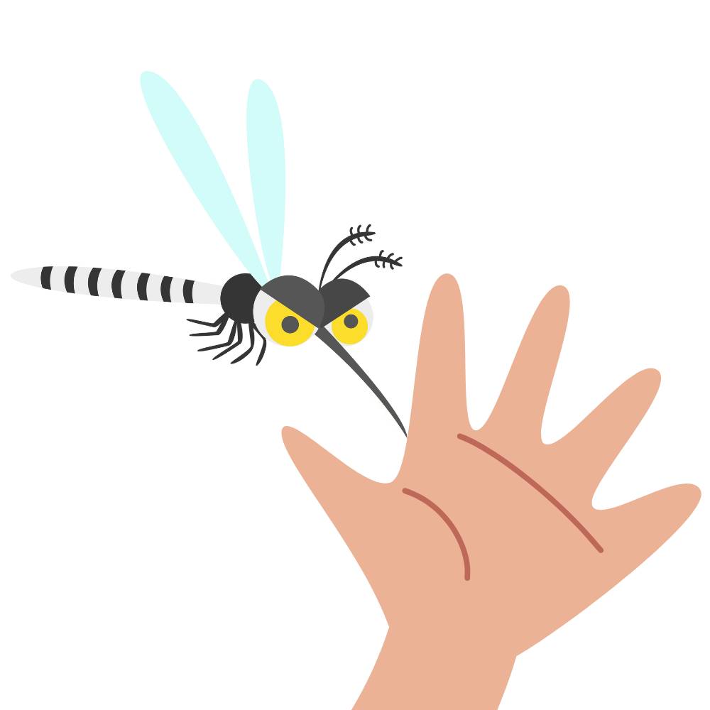 mosquito da dengue e mao