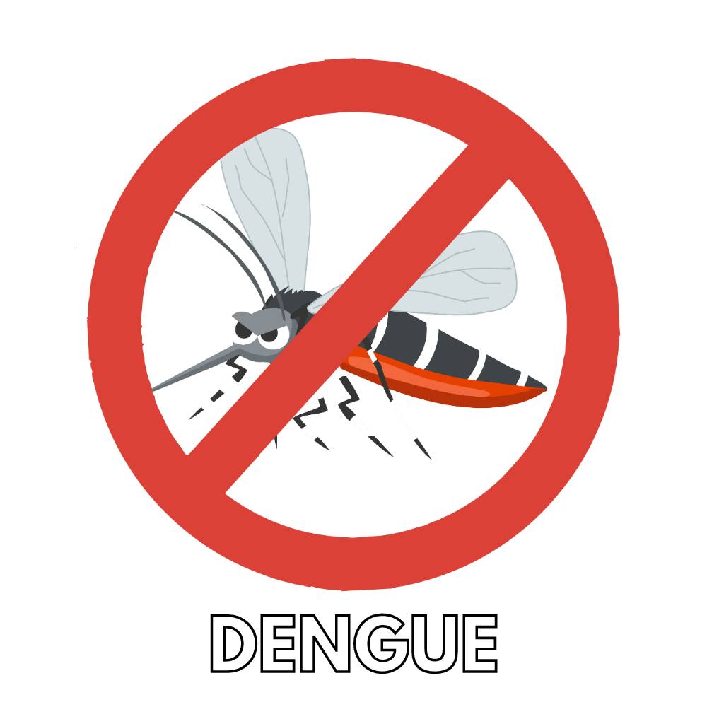 desenho do mosquito da dengue colorido