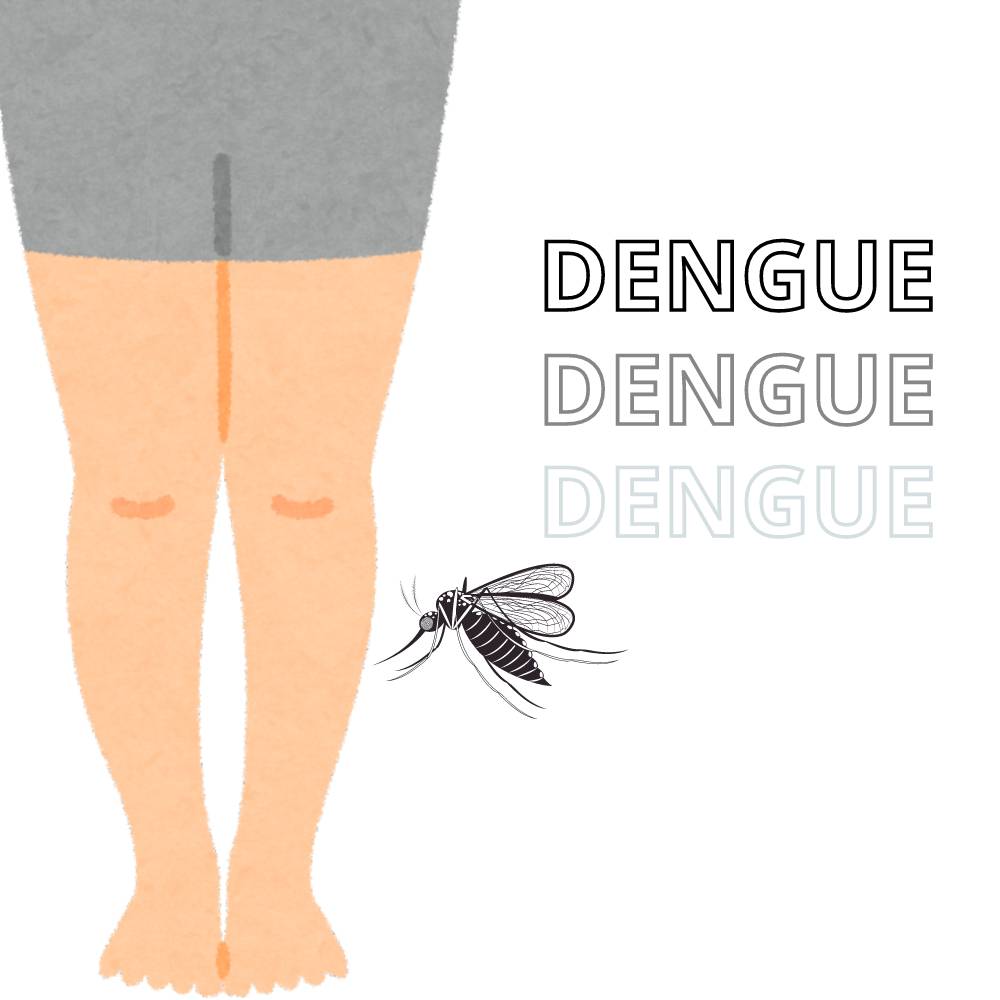 desenho do mosquito da dengue colorido