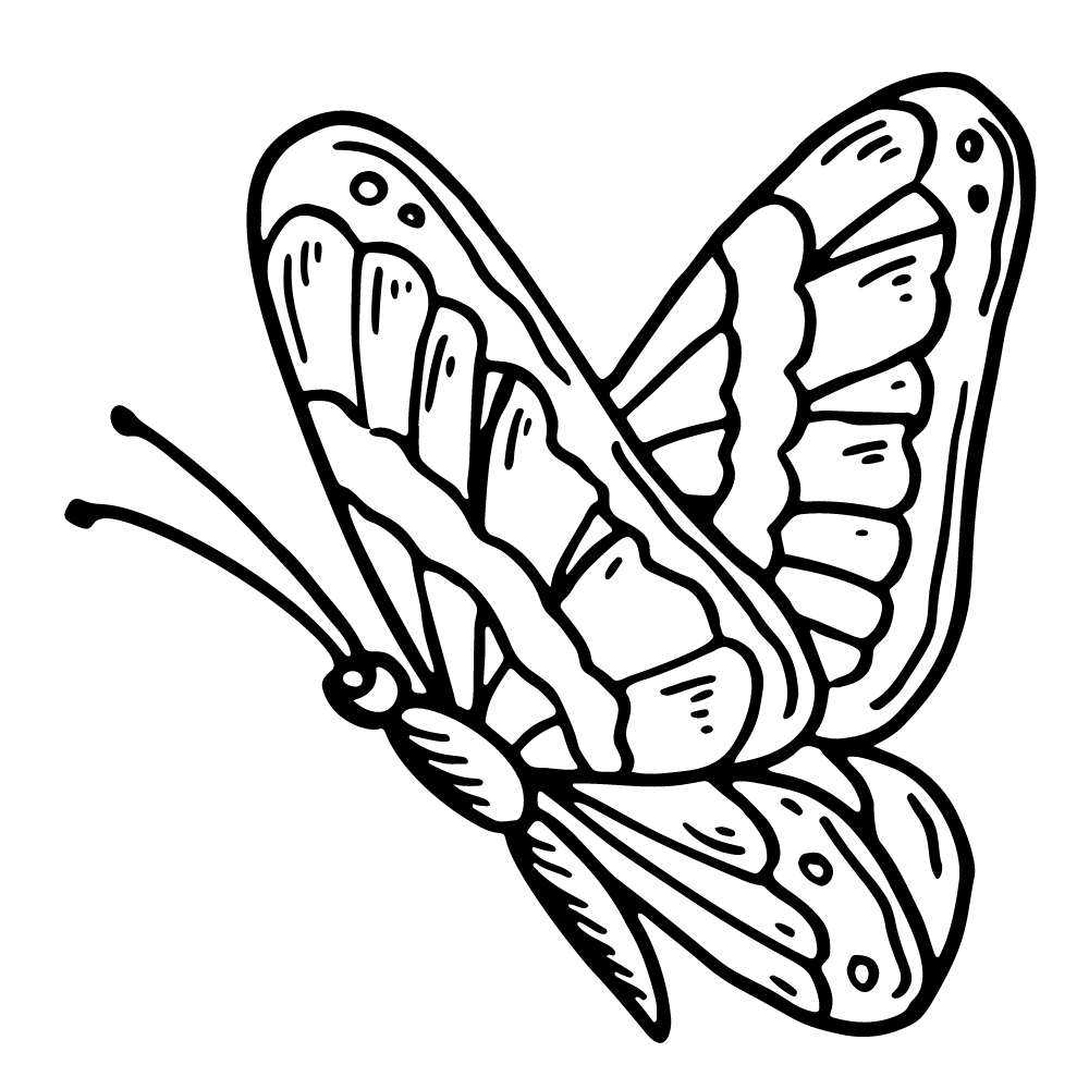 borboleta para pintar