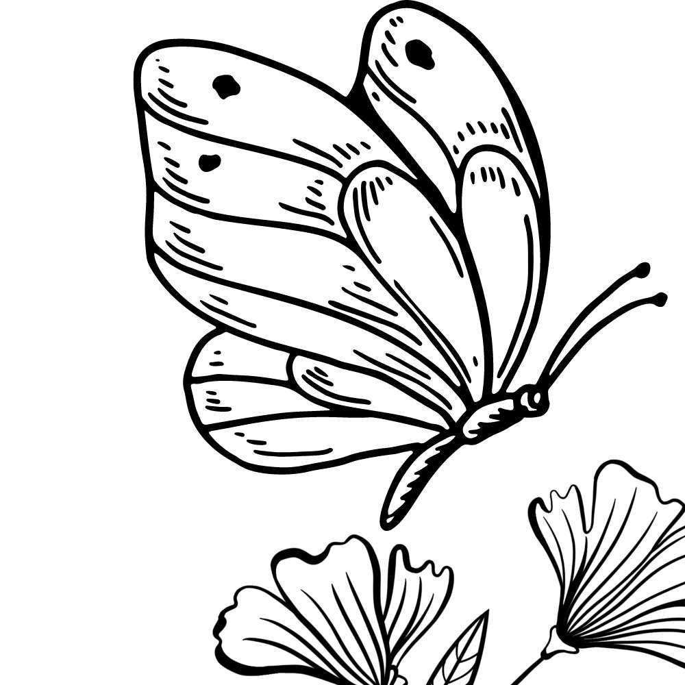 imagem de borboleta para pintar