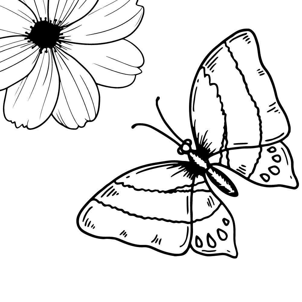 borboleta para colorir