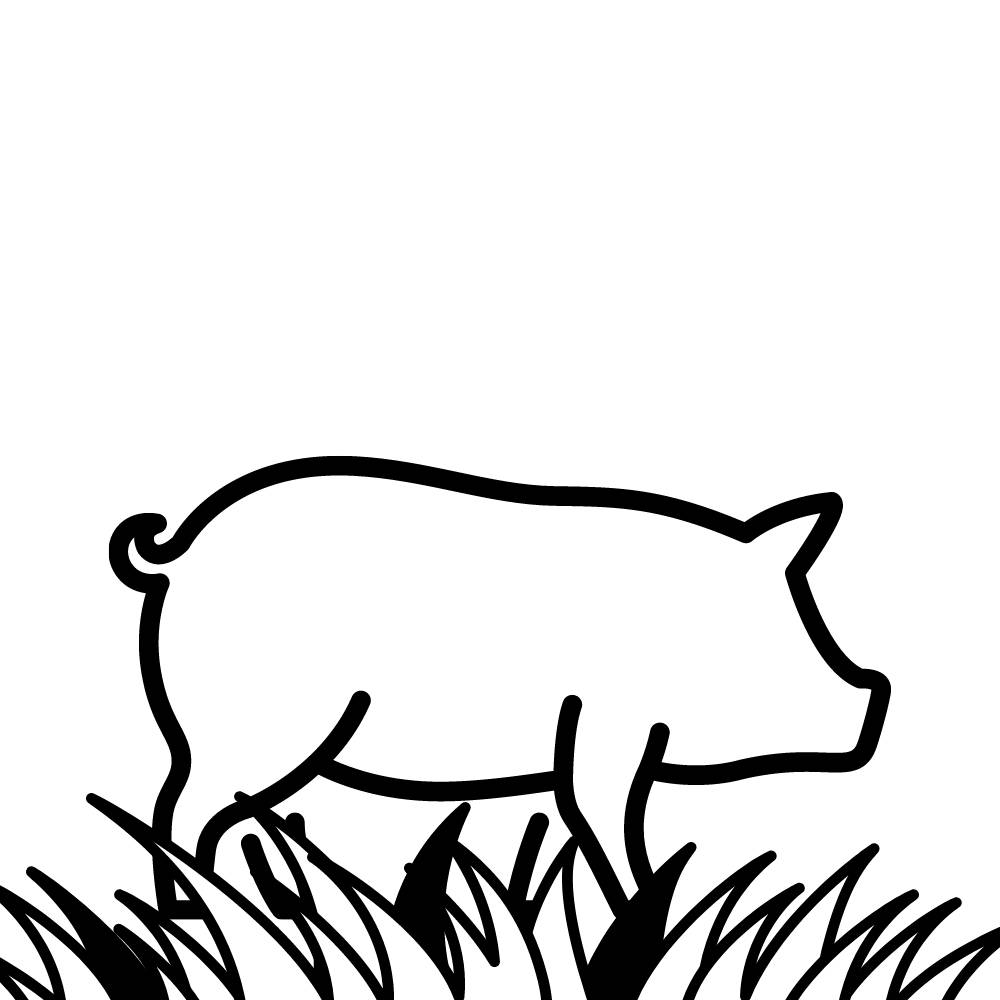 porco para colorir e desenhar