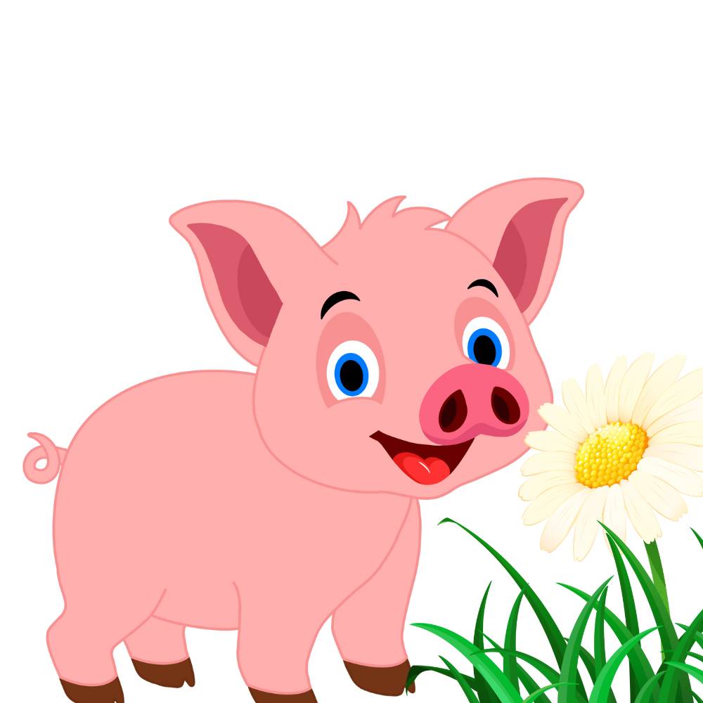 desenho de porco colorido
