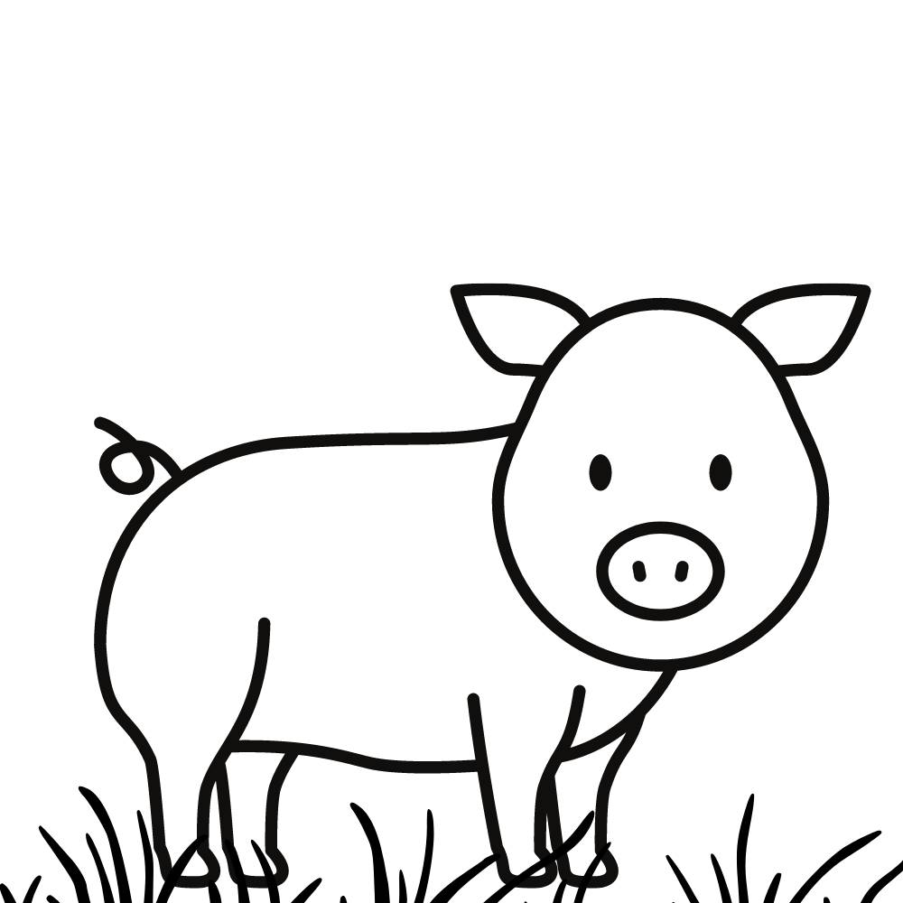 desenho de porco