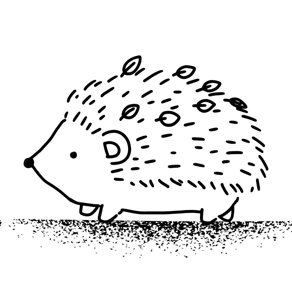 porco espinho para pintar