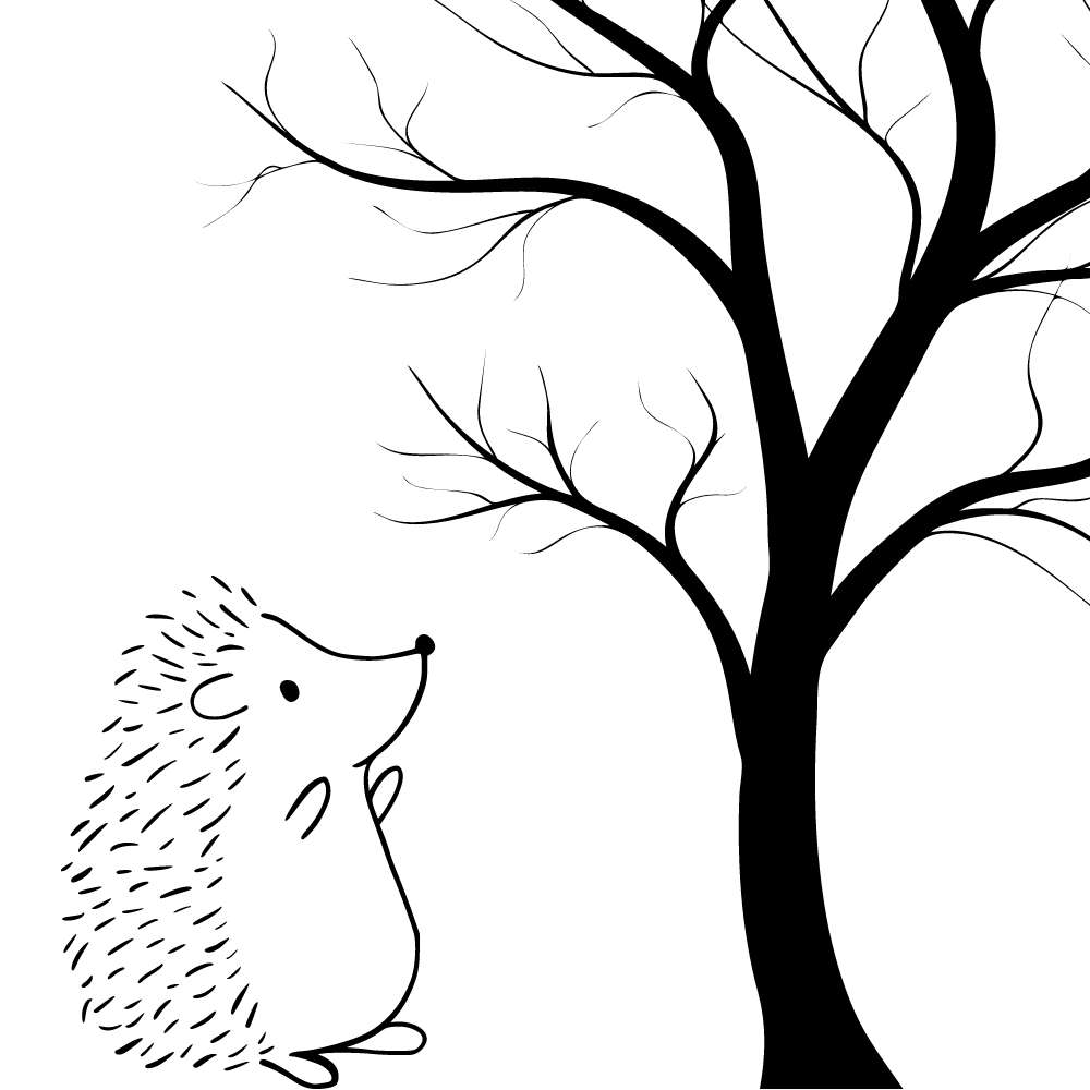 desenho porco espinho