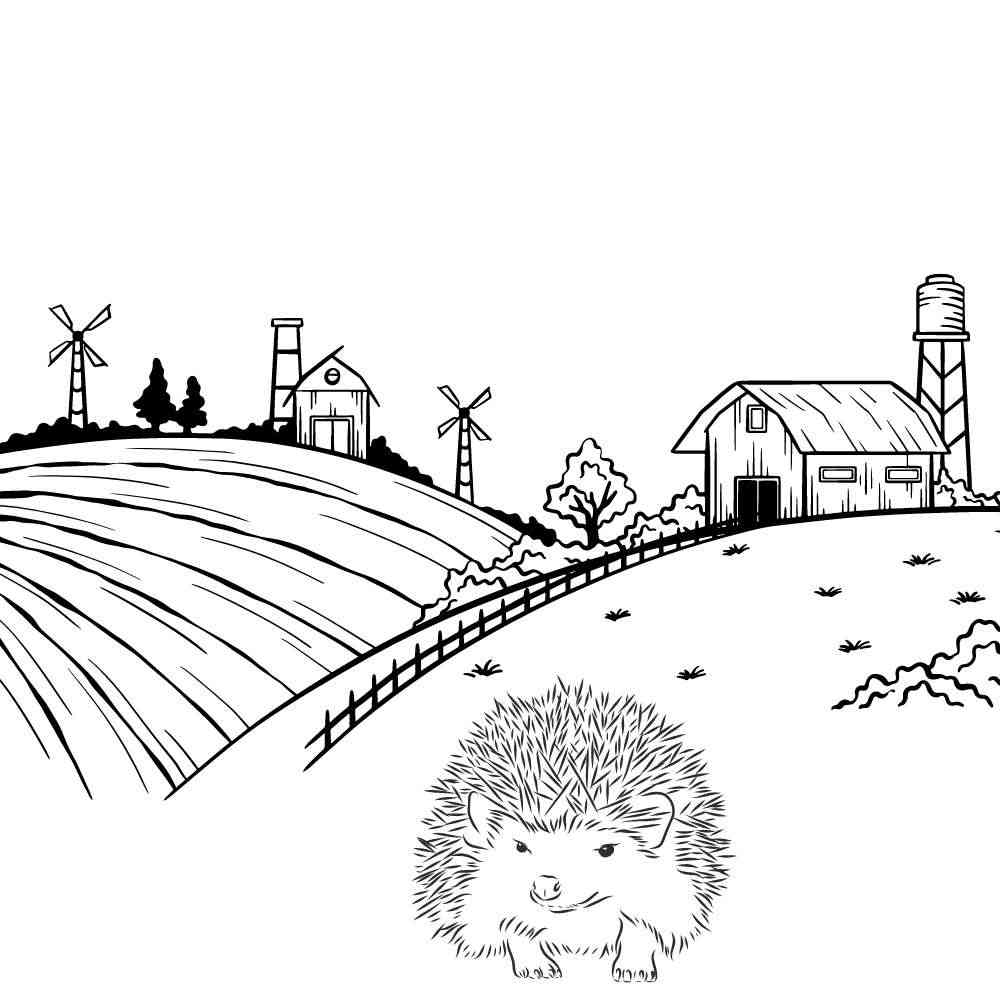 porco espinho para colorir