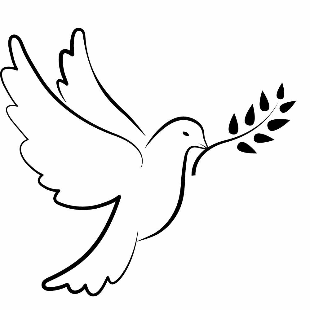 pomba espirito santo para pintar
