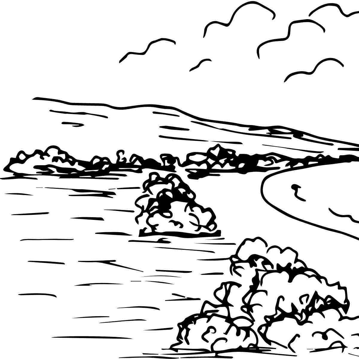 desenhos para pintar