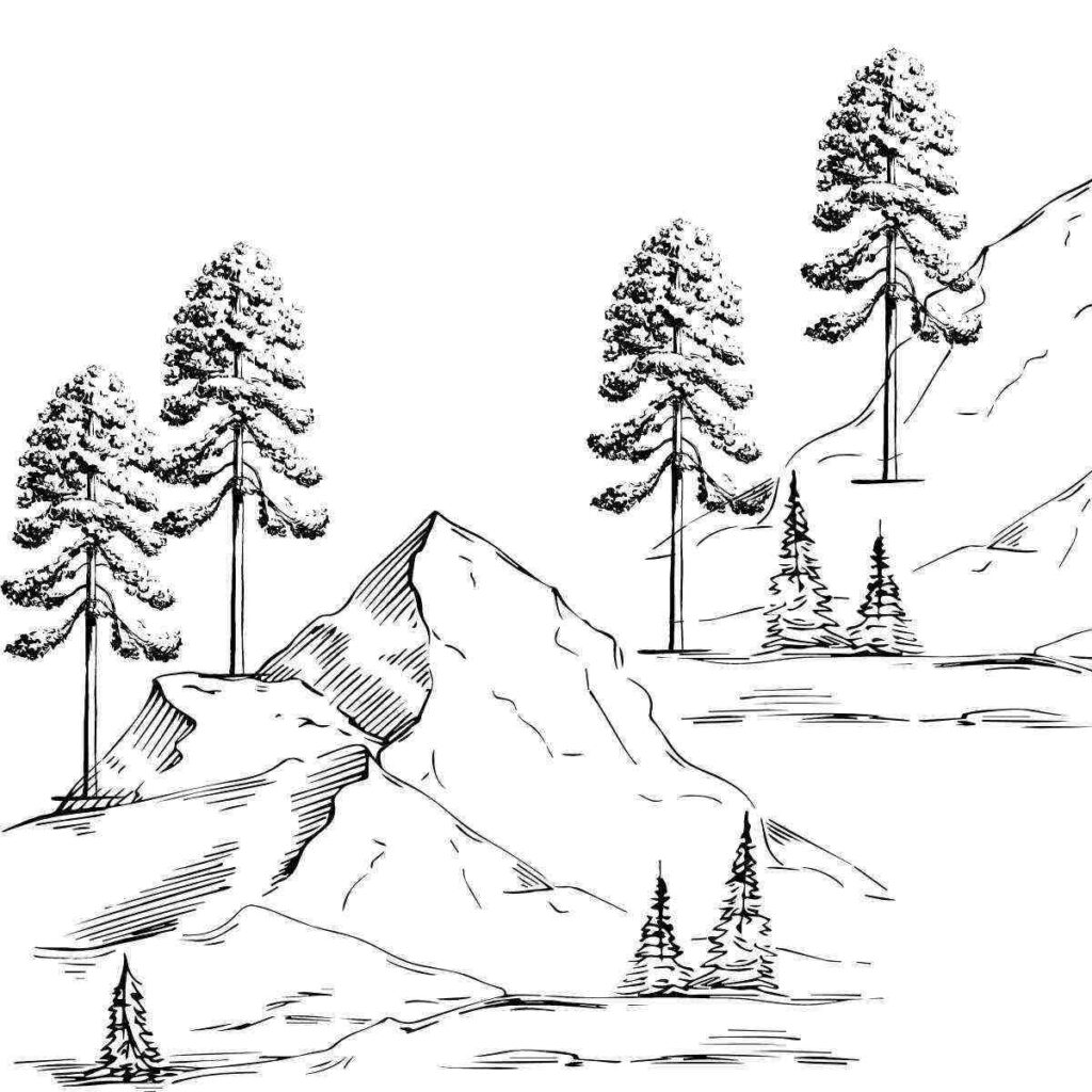 12 Desenhos para pintar e imprimir grandes - Artesanato Passo a Passo!