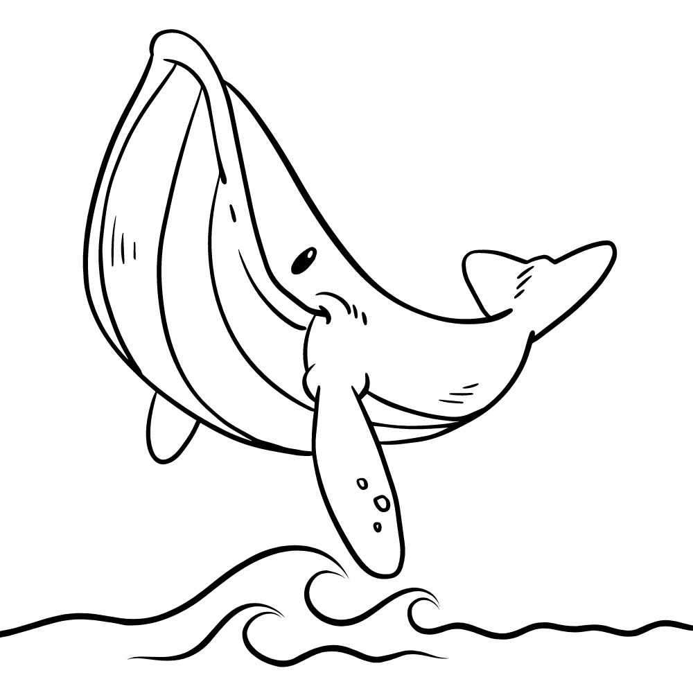 baleia jubarte para imprimir