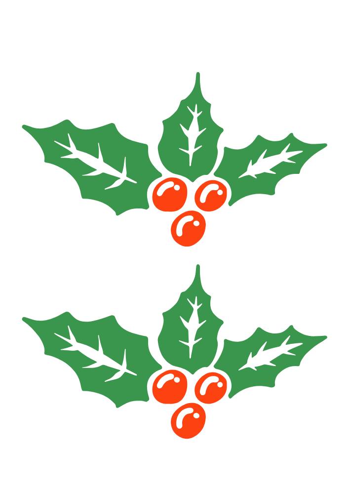 flores de natal