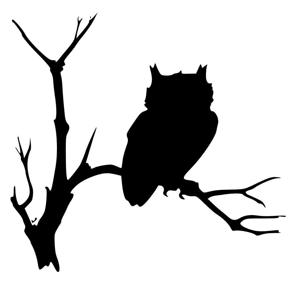 molde coruja galho arvore eva