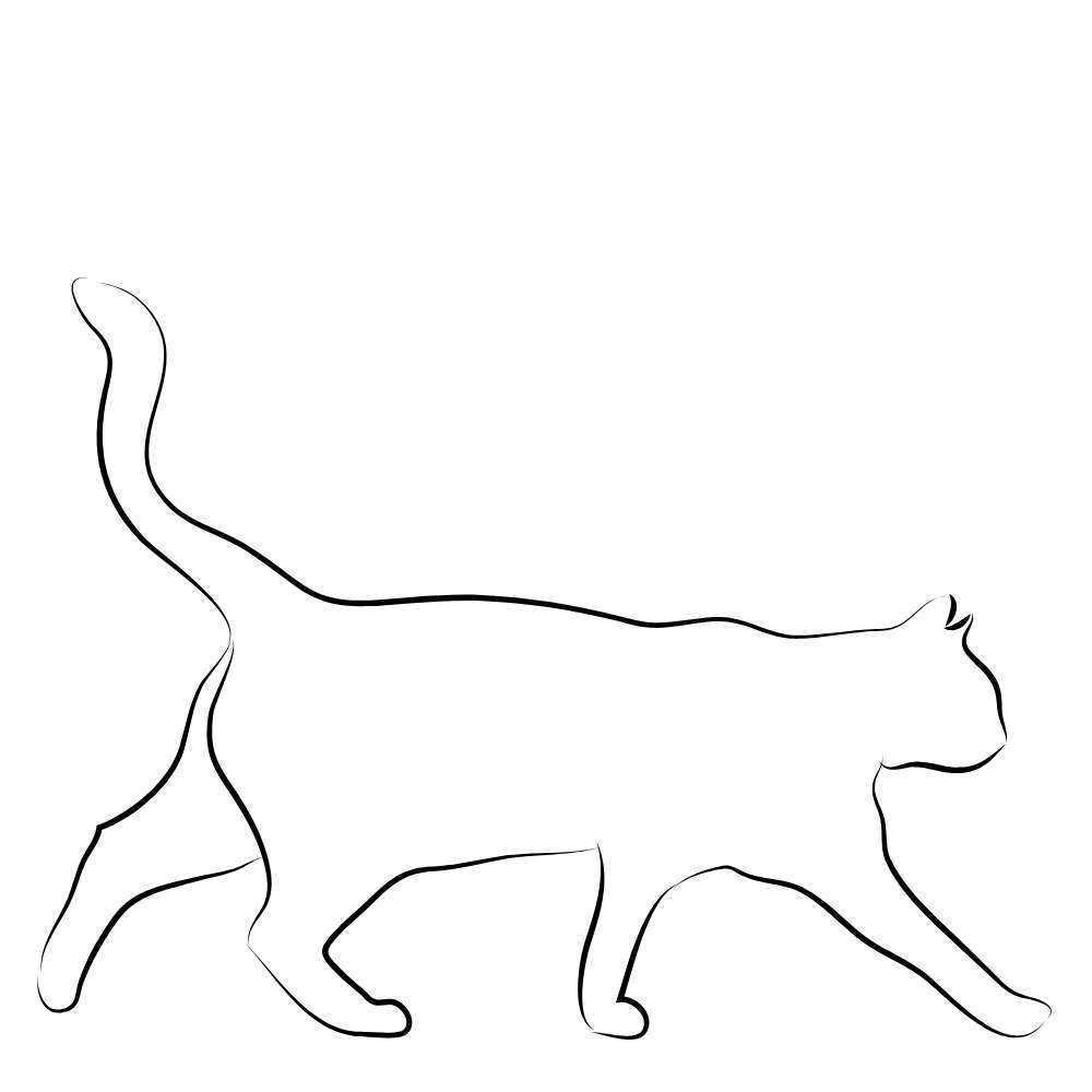 gato molde