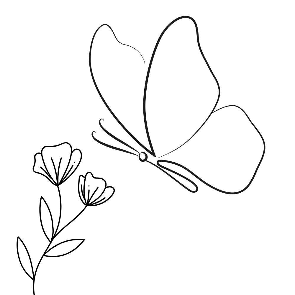 desenho de borboleta