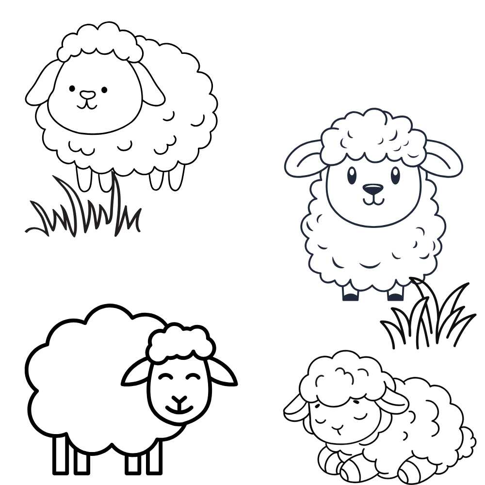 desenho de ovelha