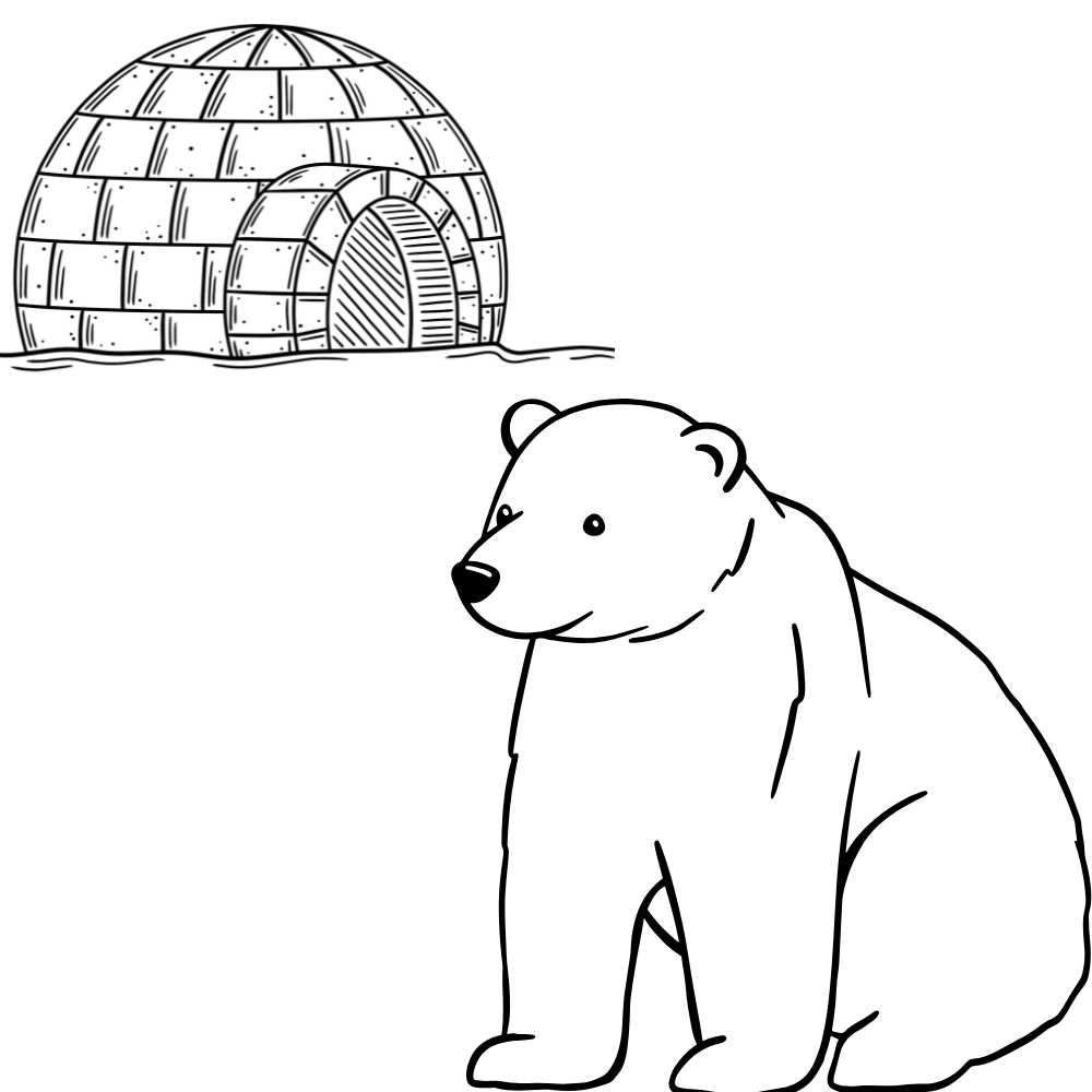 desenho de urso