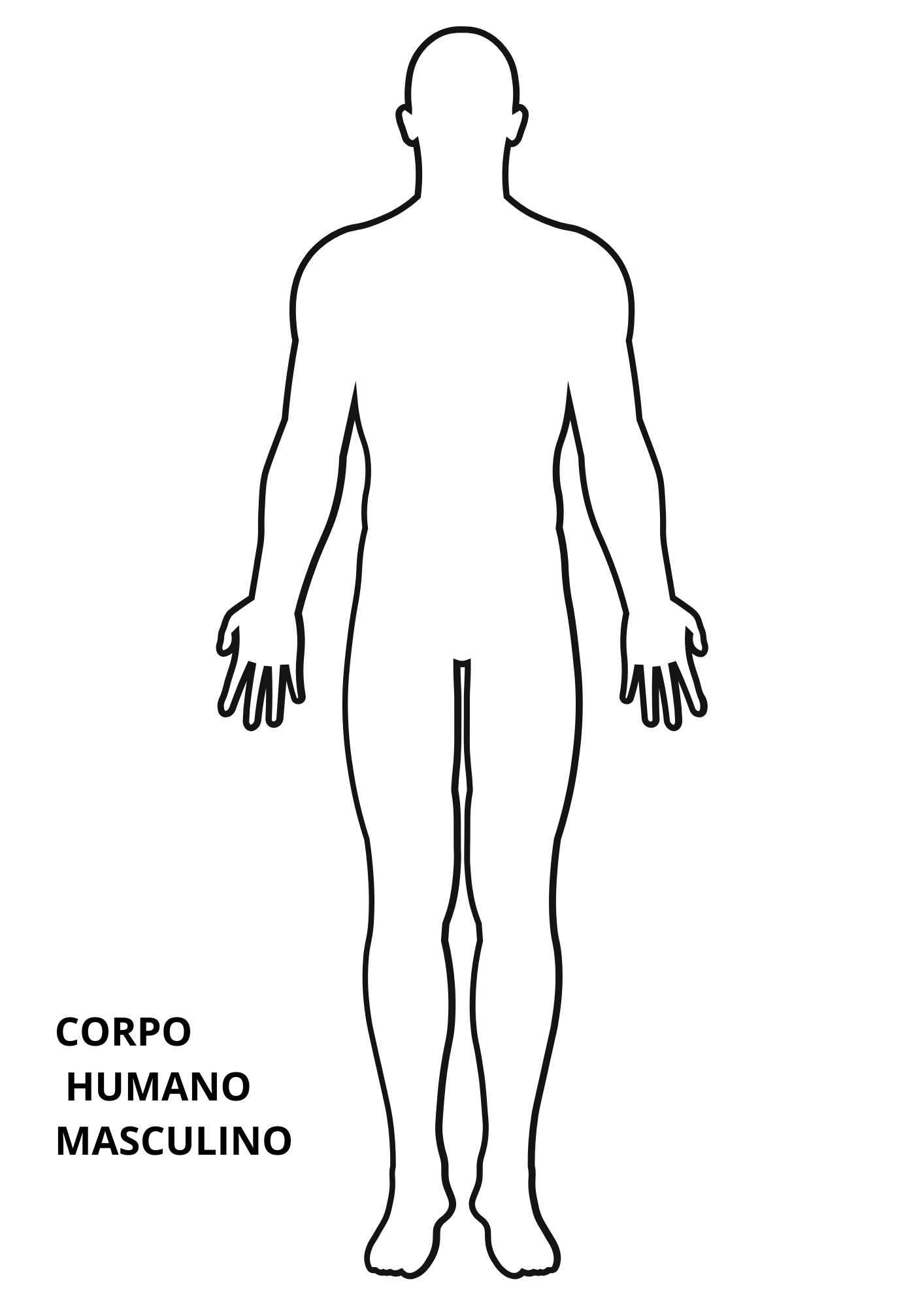 molde de corpo humano masculino