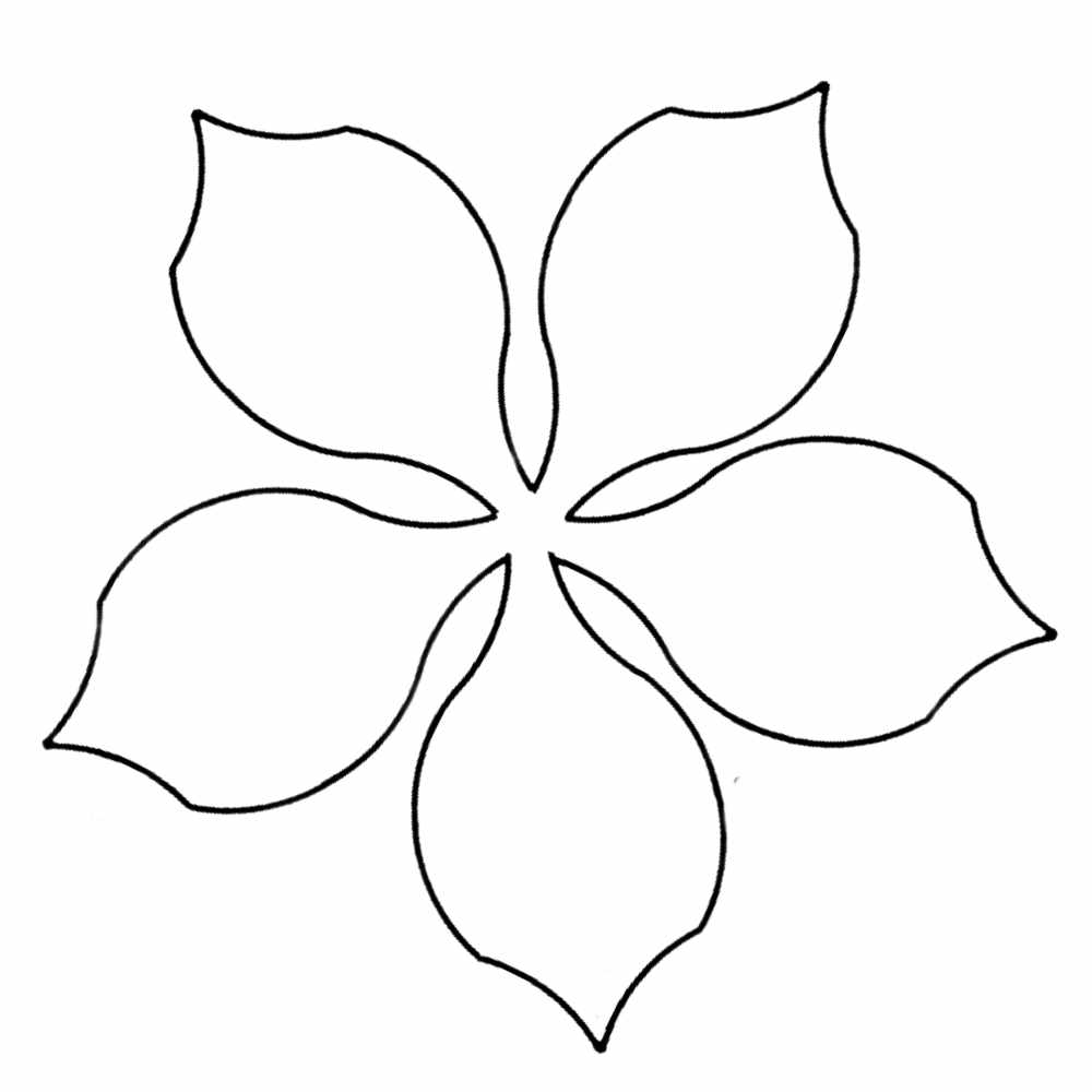 molde petala de flor de natal