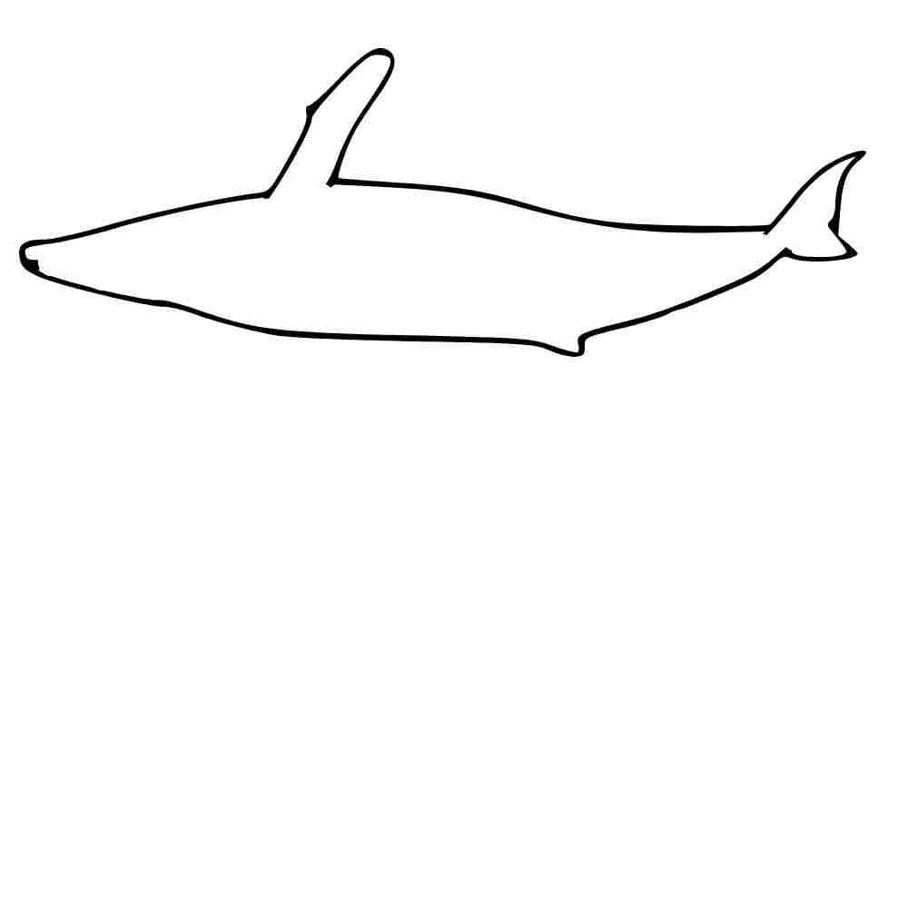 molde de baleia jubarte