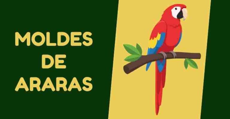 molde de arara para imprimir