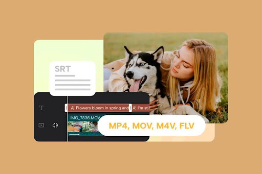 mulher com cachorro perto