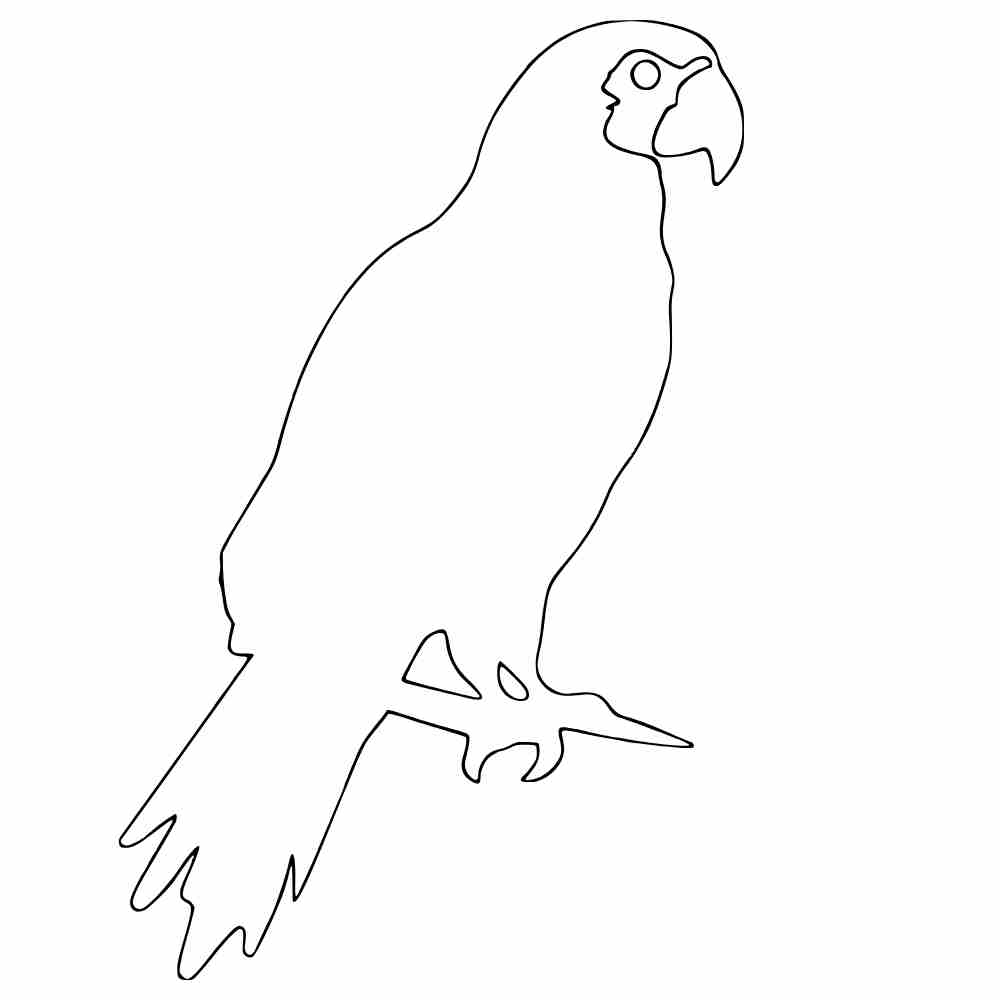 molde de arara para imprimir eva