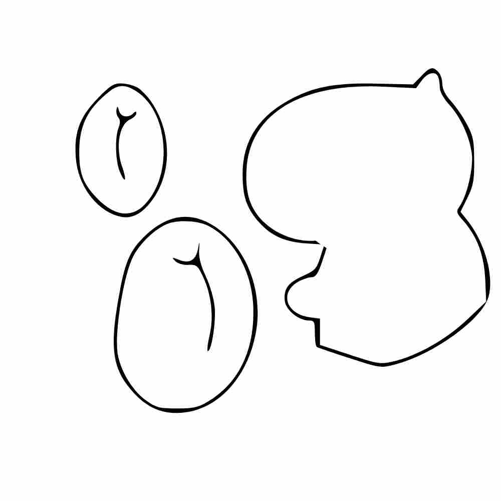 molde de capivara imprimir