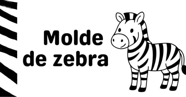 molde zebra